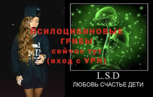 бошки Алексин