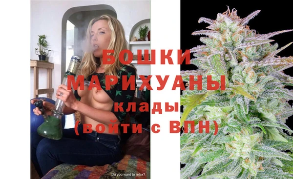 бошки Алексин