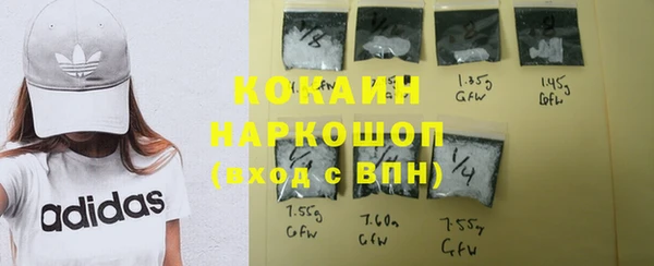 бошки Алексин